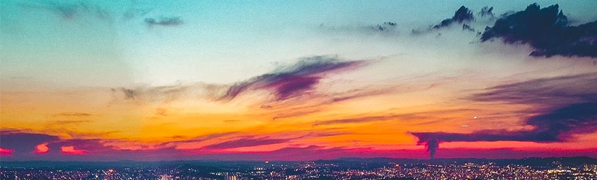 云南茶虫网_云南品茶